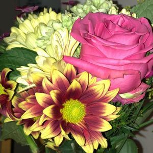 Meet your Posher, Denise